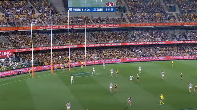 Hawthorn - North Melbourne live stream