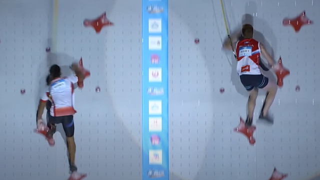 Continental Cup live stream